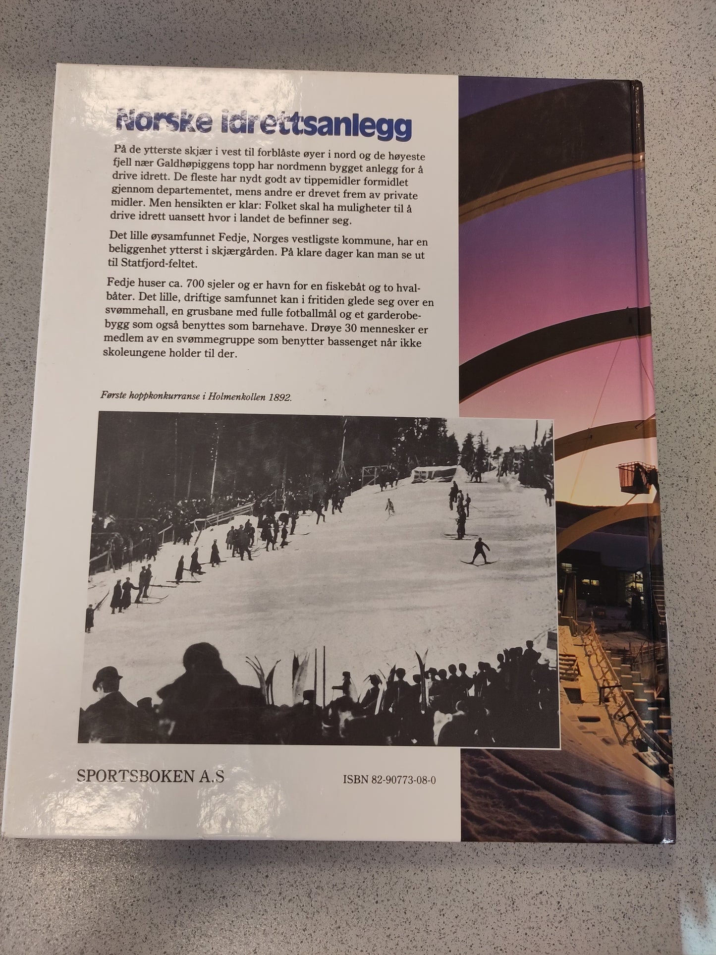 BOOK: Norwegian sports facilities