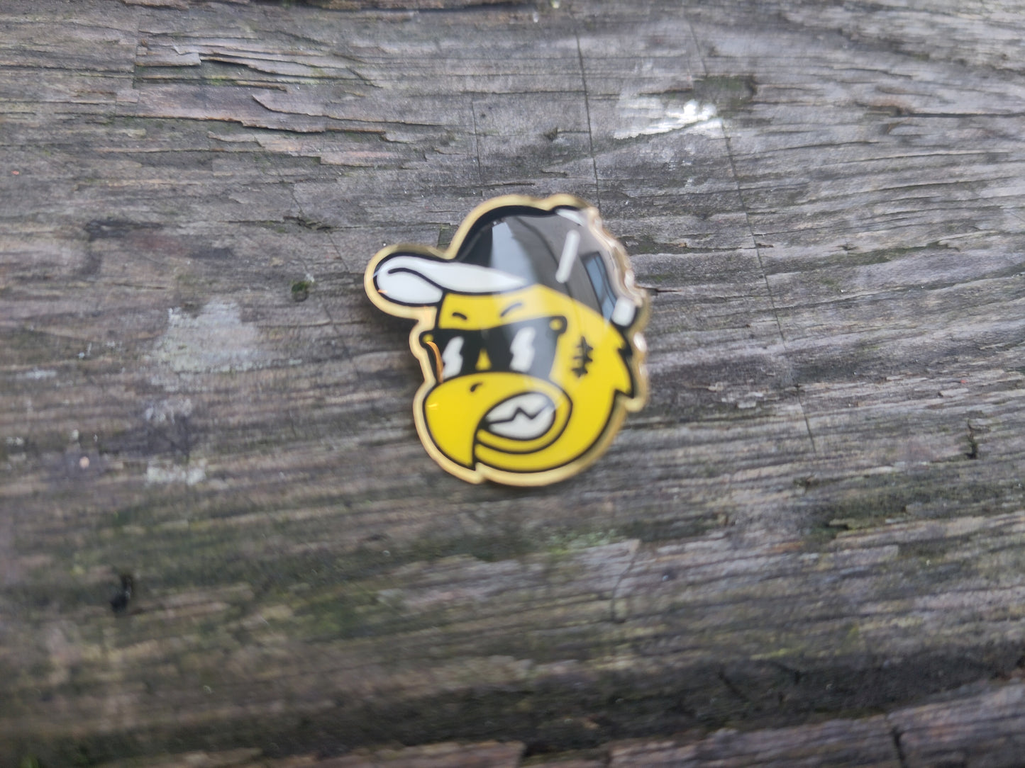 PINS: Lillestrøm - Hard Reception