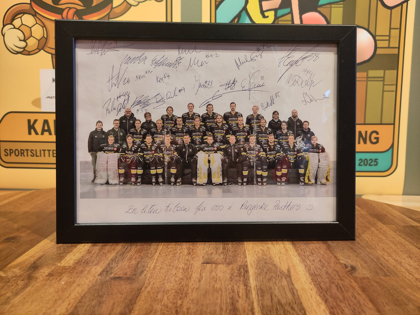 Ringerike Panthers bilde lag signert*