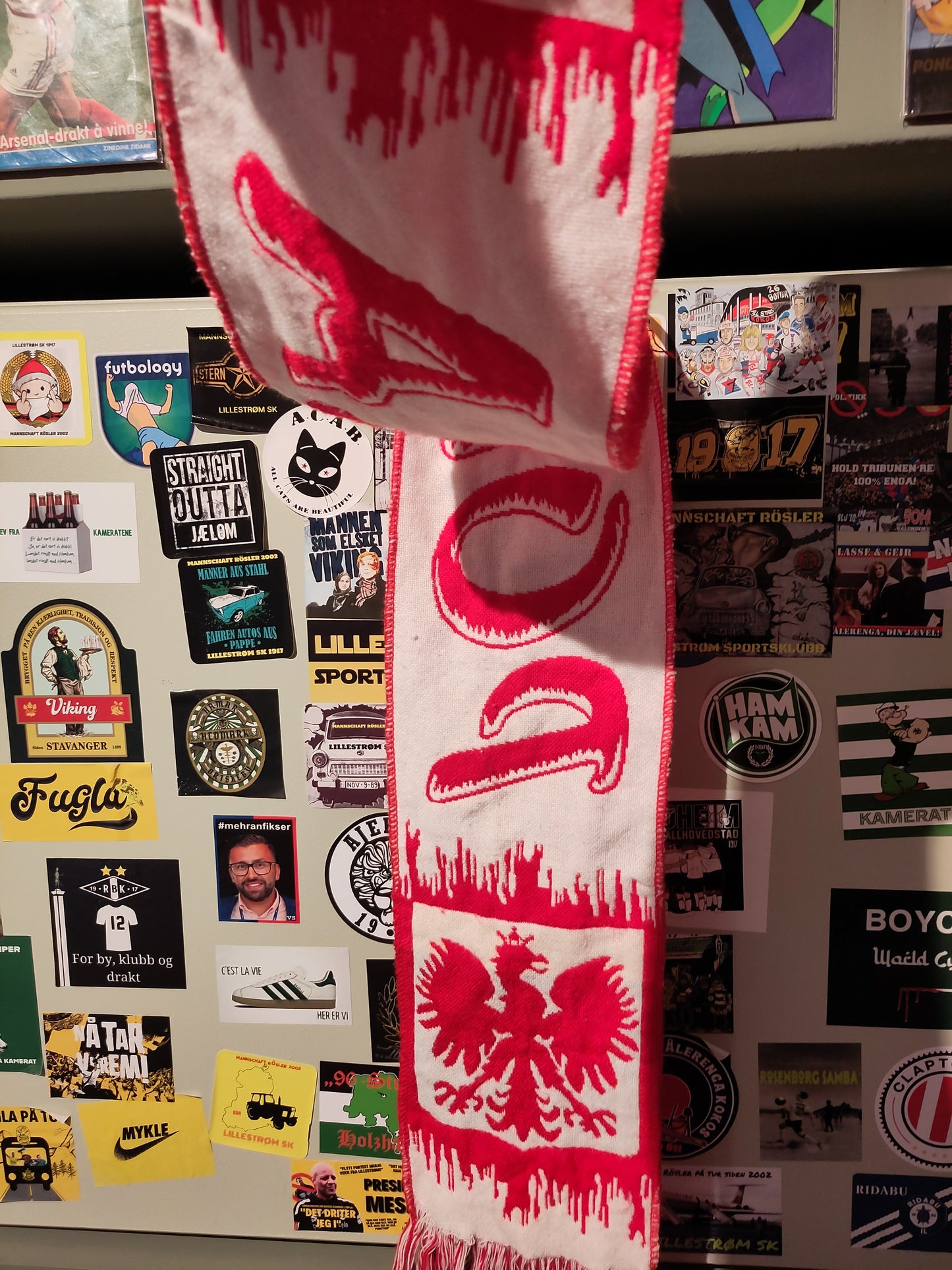 Polen skjerf v4