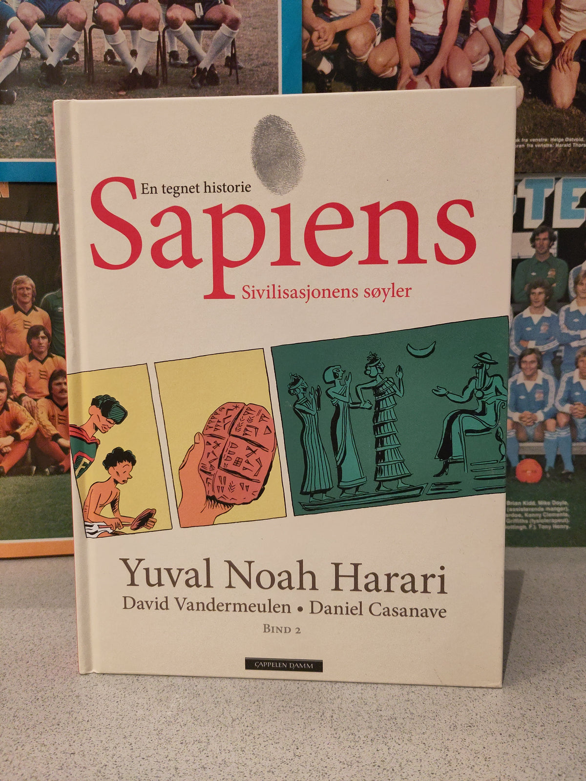 Sapiens - en tegnet historie: Sivilisasjonens søyler (Harari/Vandermulen/Casanave)