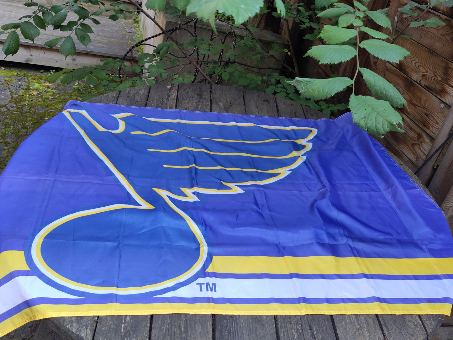 St. Louis Blues flagg stor