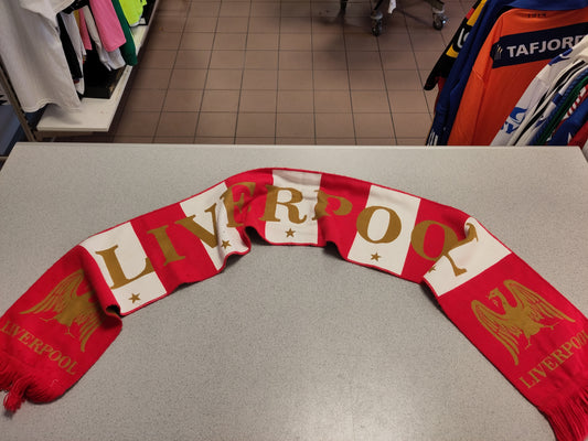 Liverpool scarf v4