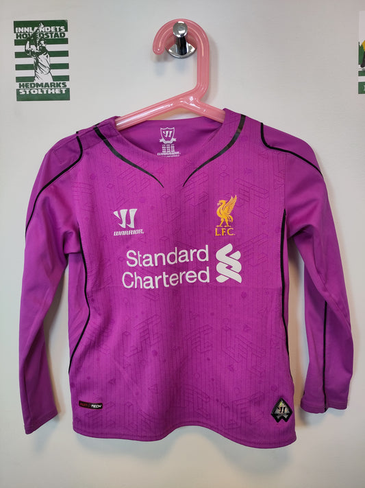 Liverpool jersey 2014-15 goalkeeper kids