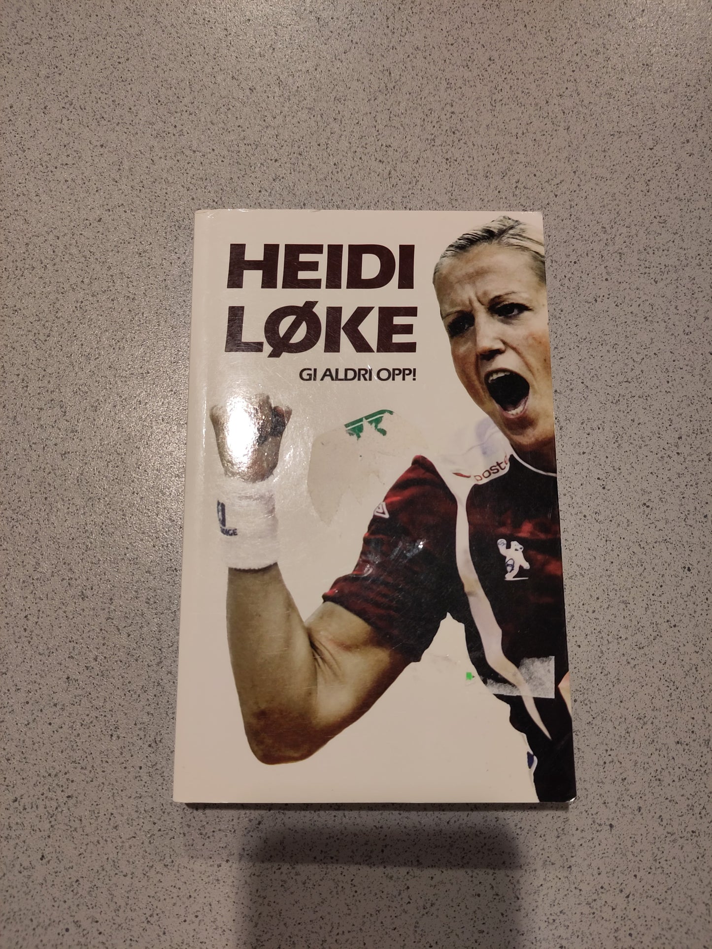 BOK: Heidi Løke - Gi aldri opp!