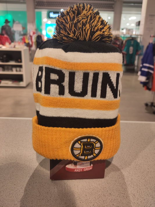 Boston Bruins hat (STOLENE)