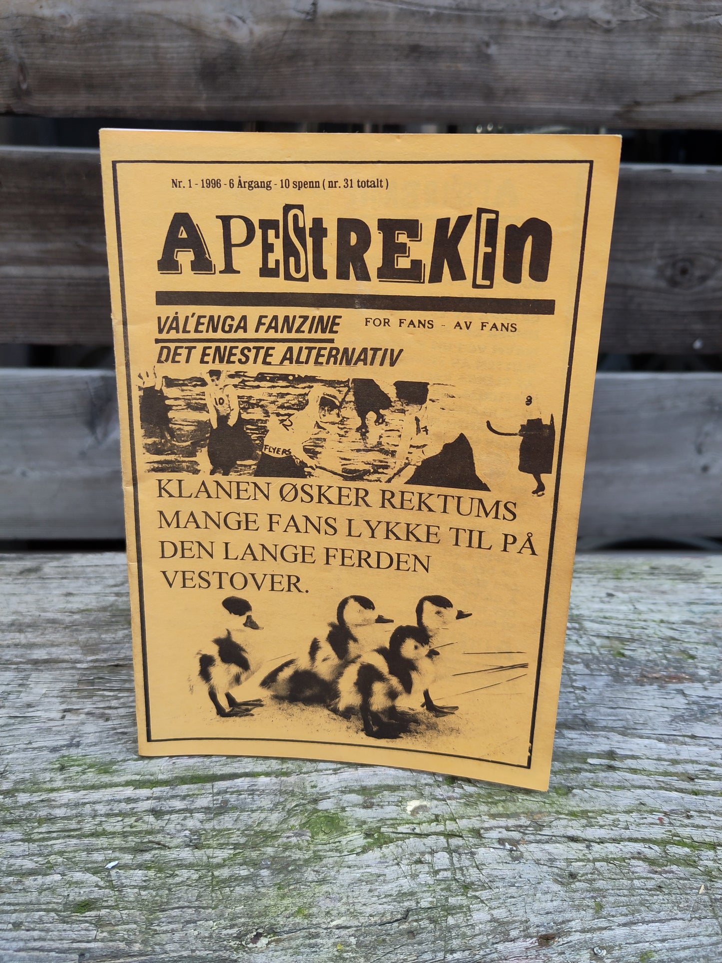 Vålerenga fanzine Apestreken