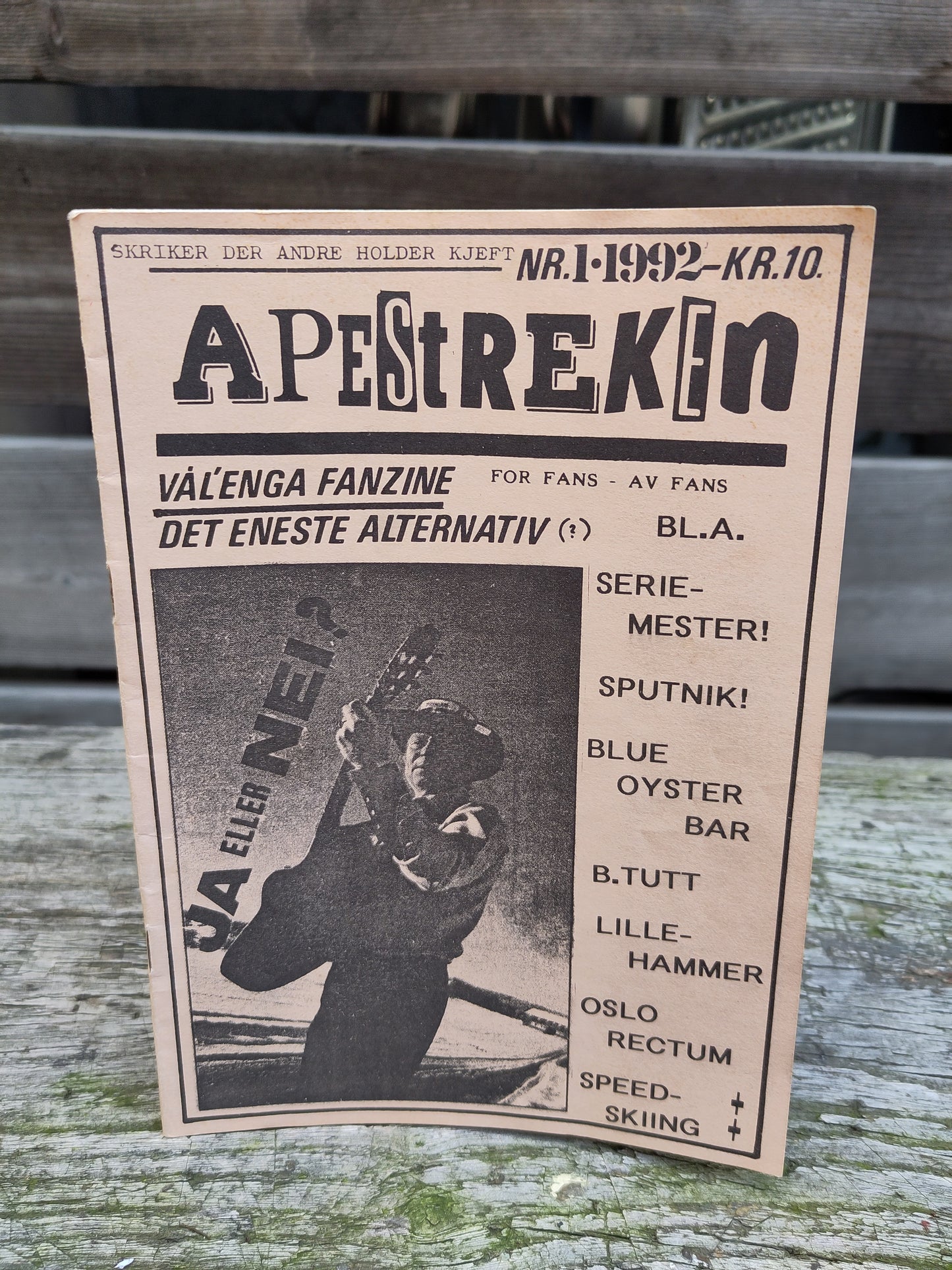 Vålerenga fanzine Apestreken