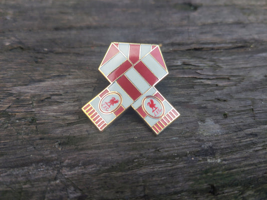 PINS: Liverpool - scarf