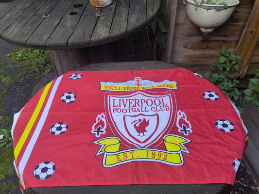 Liverpool flag 90s