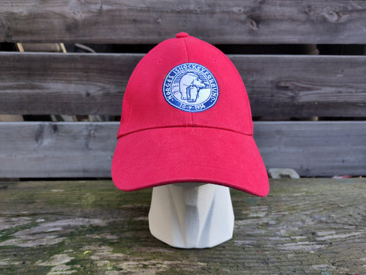 Norway Ice Hockey Caps