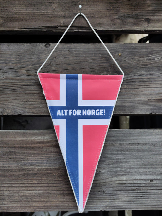 Norge vimpel Alt for Norge