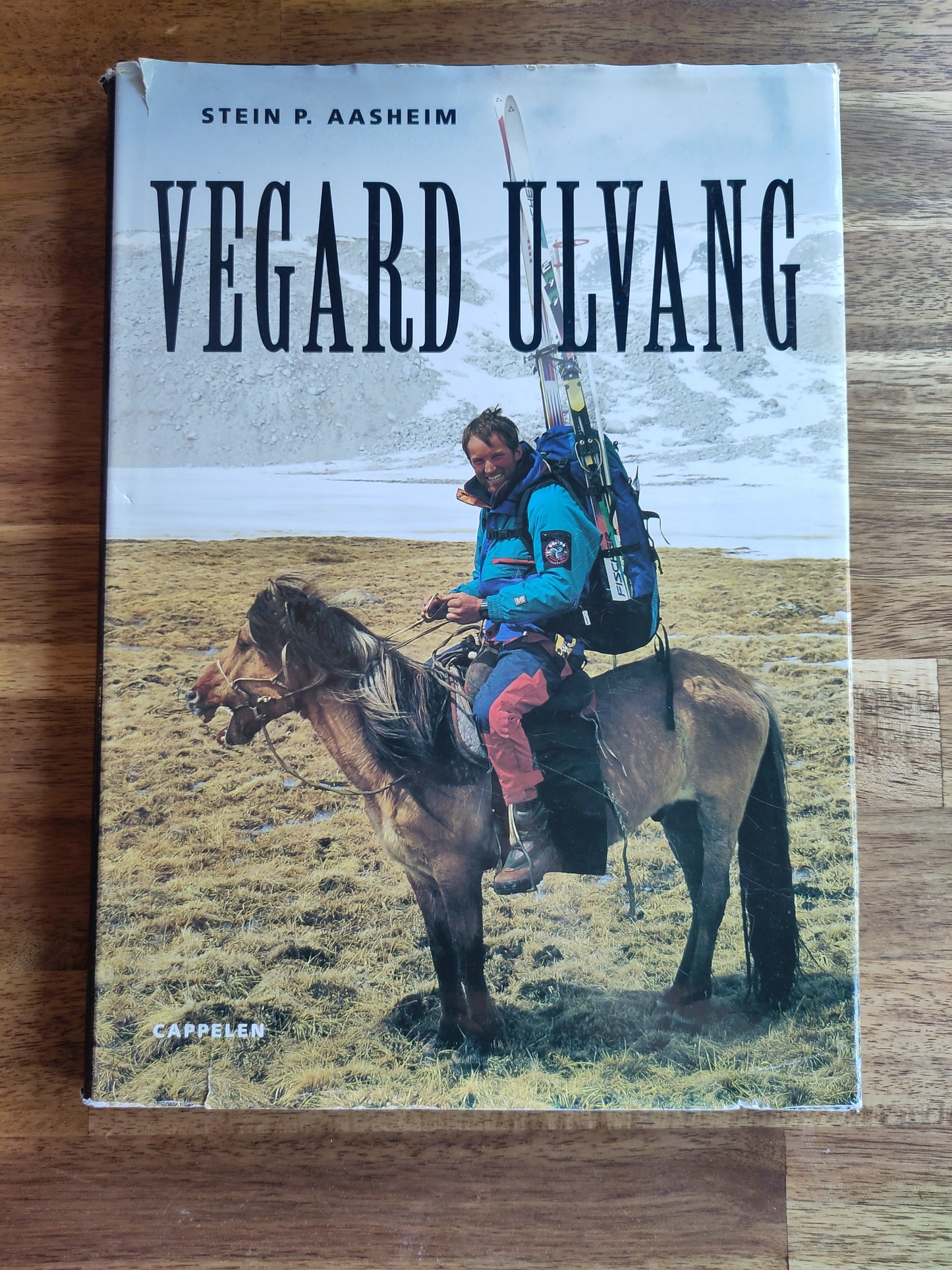 BOK: Ulvang (Aasheim)