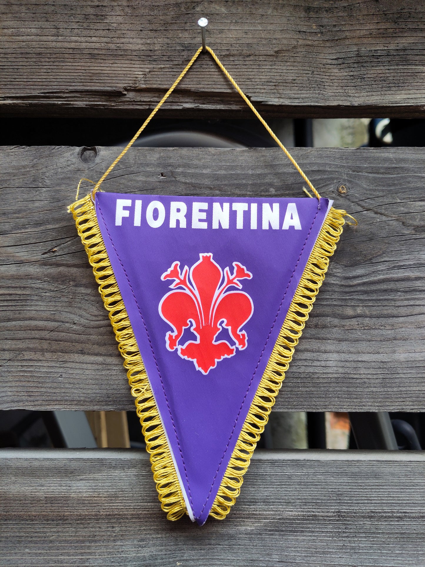 Fiorentina vimpel