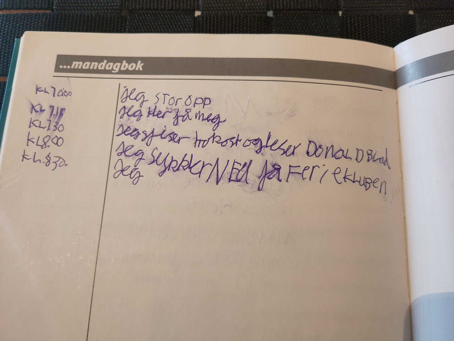 BOK: Verdens rundeste ball - 25 år med Norway Cup (Stalsberg/Grønvold/Dahl) signert av Solskjær og Berg