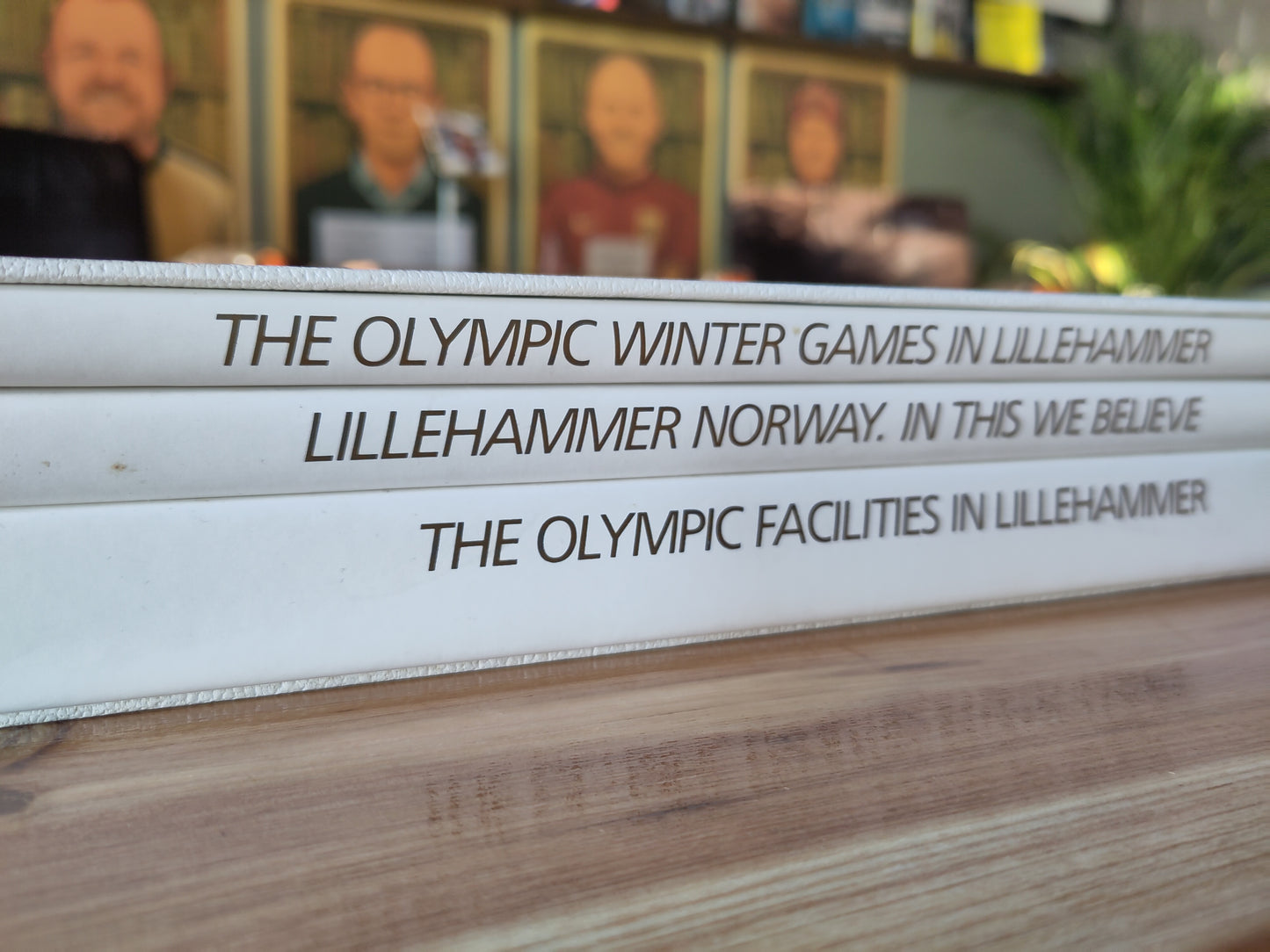 BOOK: 1994 Lillehammer Olympics application