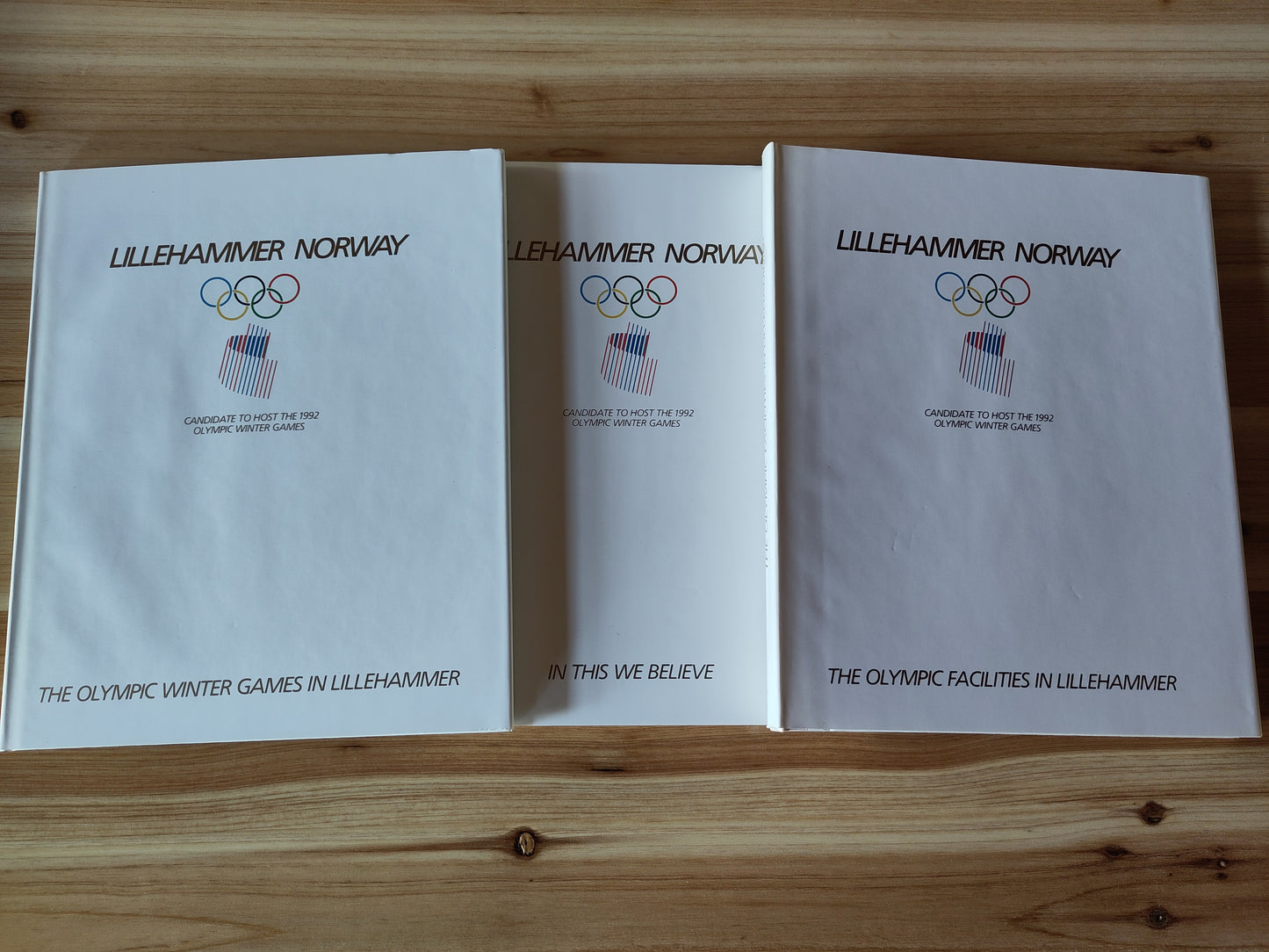 BOOK: 1994 Lillehammer Olympics application