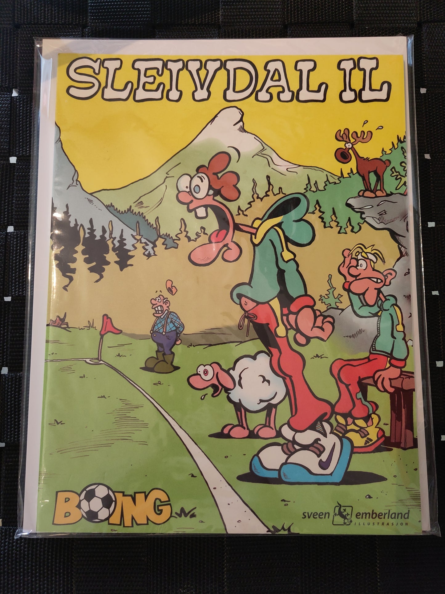 Sleivdal album #1-42 (Emberland/Sveen)
