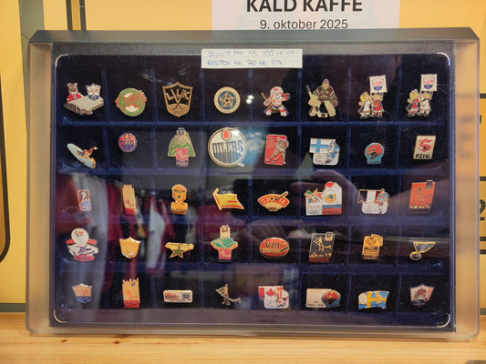 PINS: Diverse ishockey*