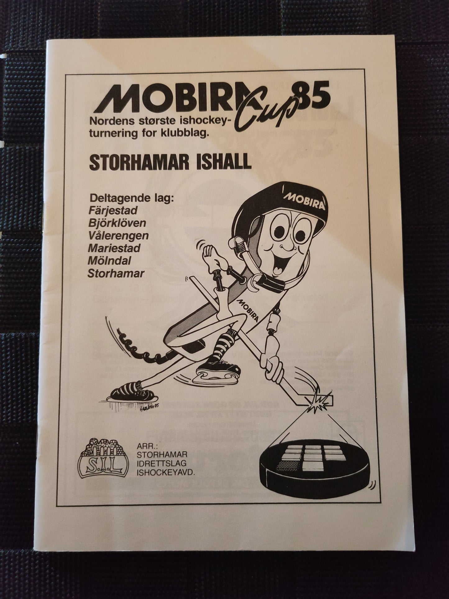 Program: Hockey diverse