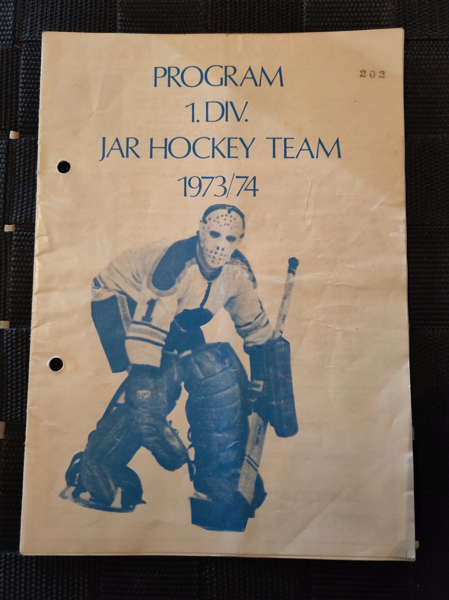 Program: Hockey diverse