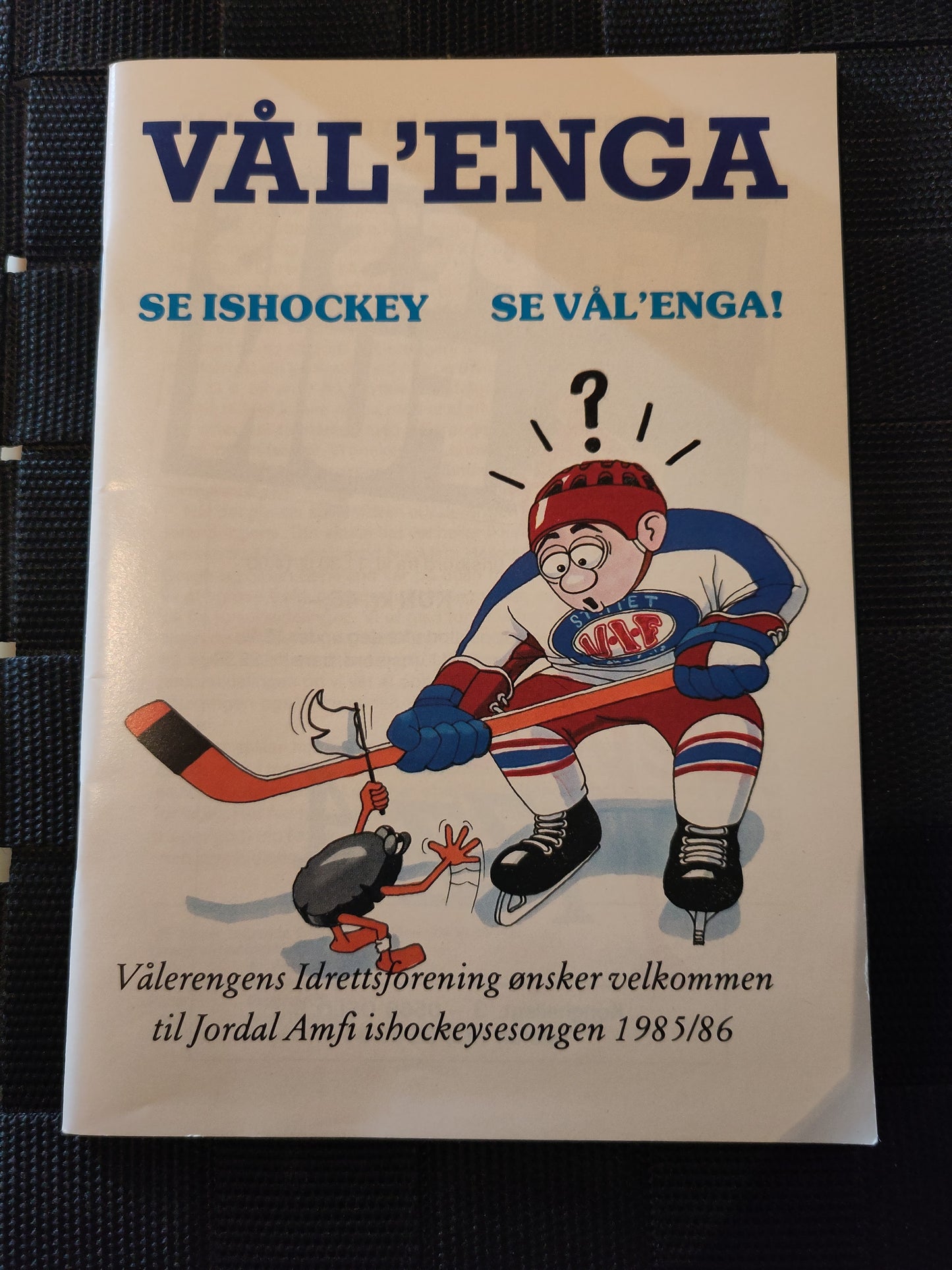 Program: Hockey diverse