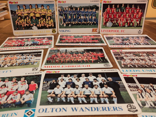 Kort: Lagserien norske og internasjonale lag