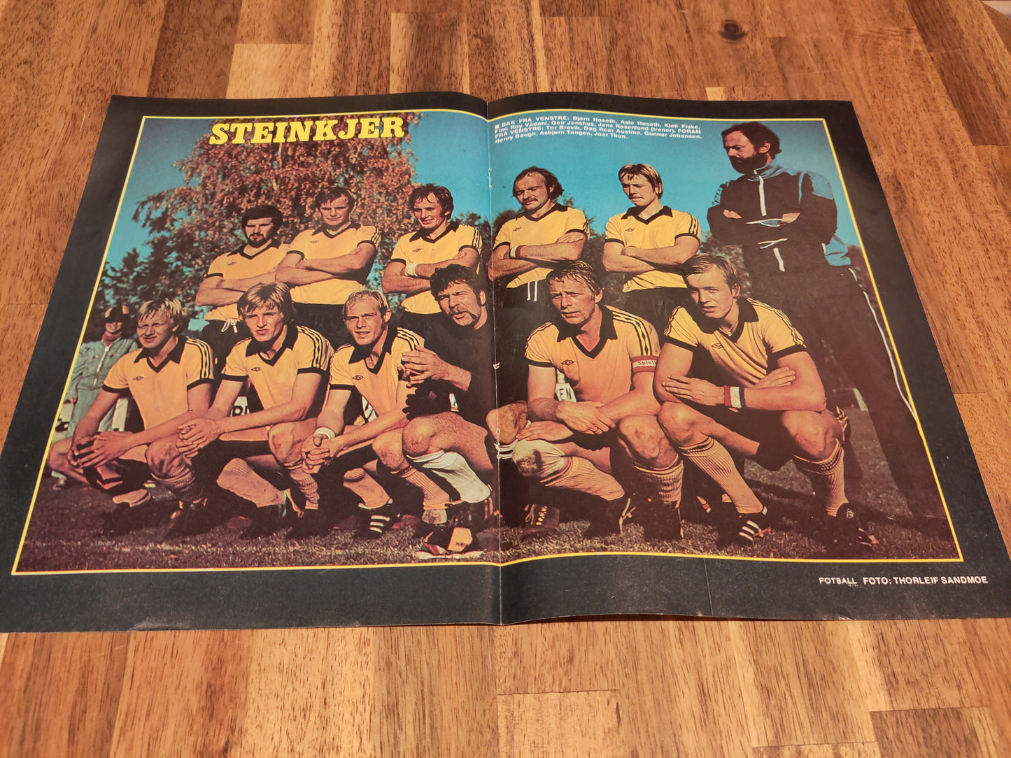 Plakater: Lagbilder norske lag 70-tall