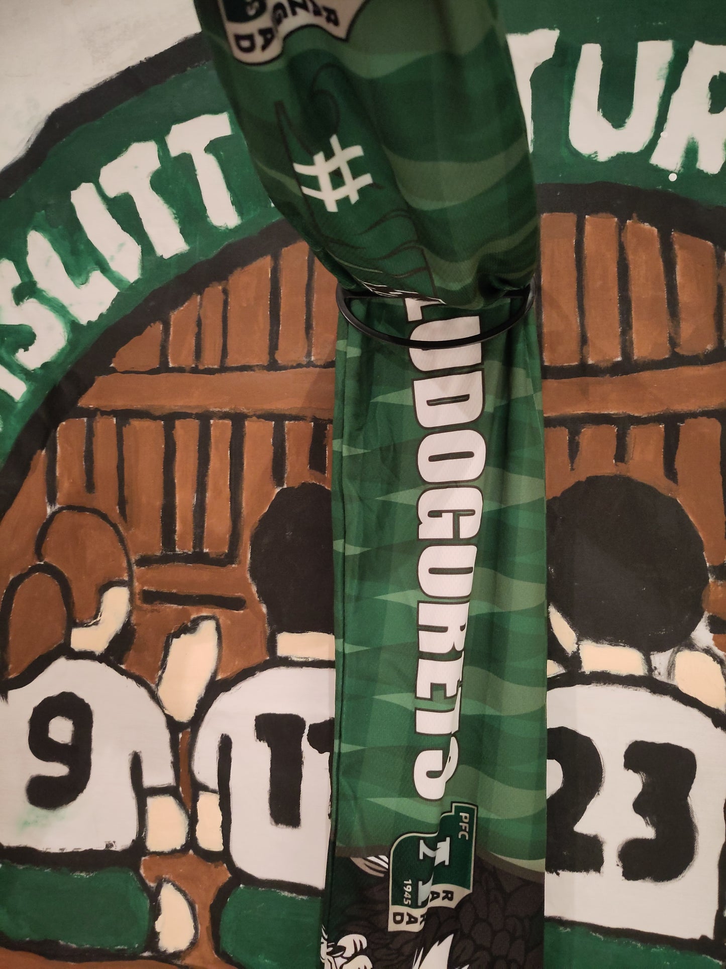 Ludogorets skjerf