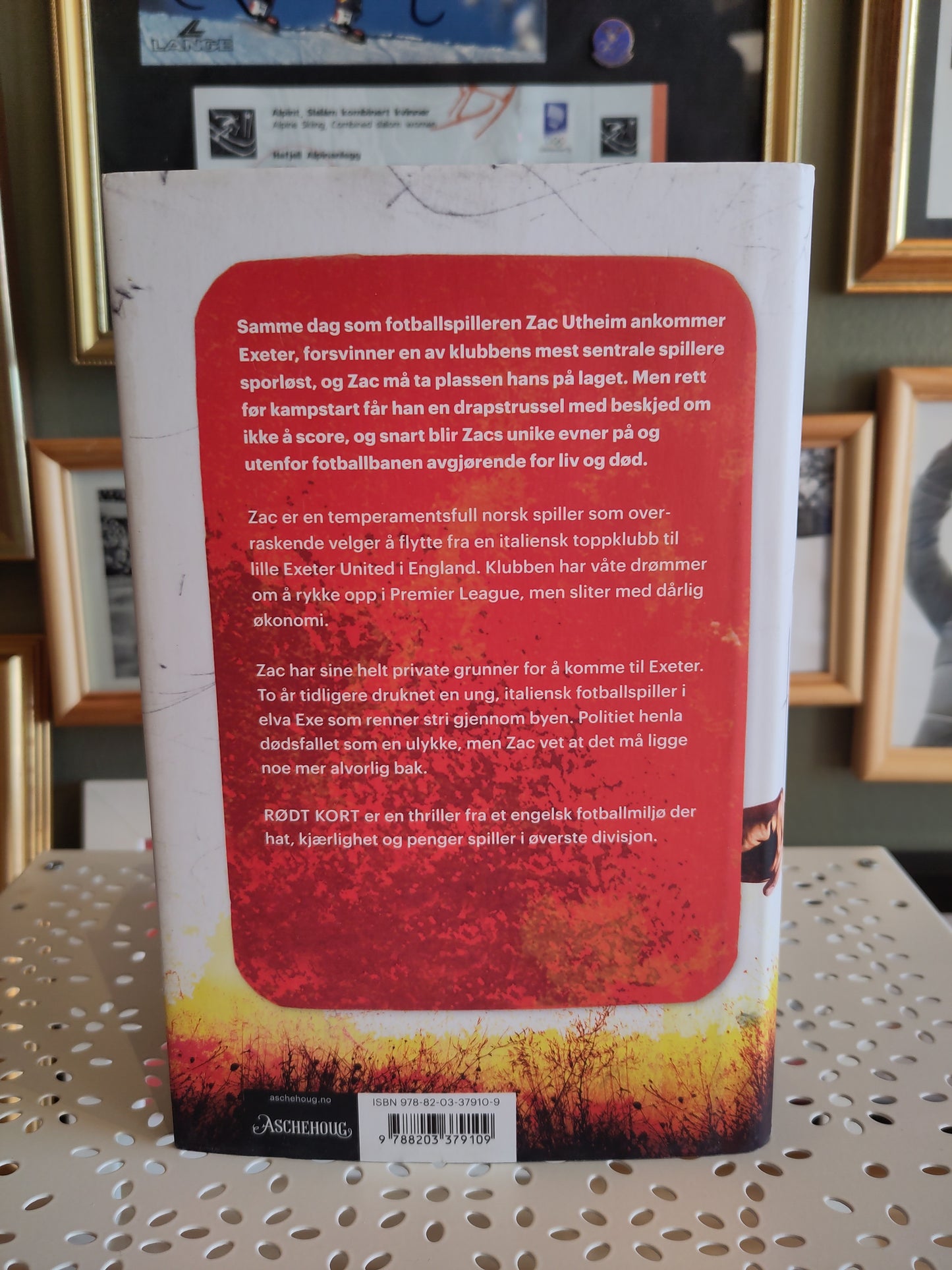 BOOK: Red Card - A Football Thriller (Kurt Aust)
