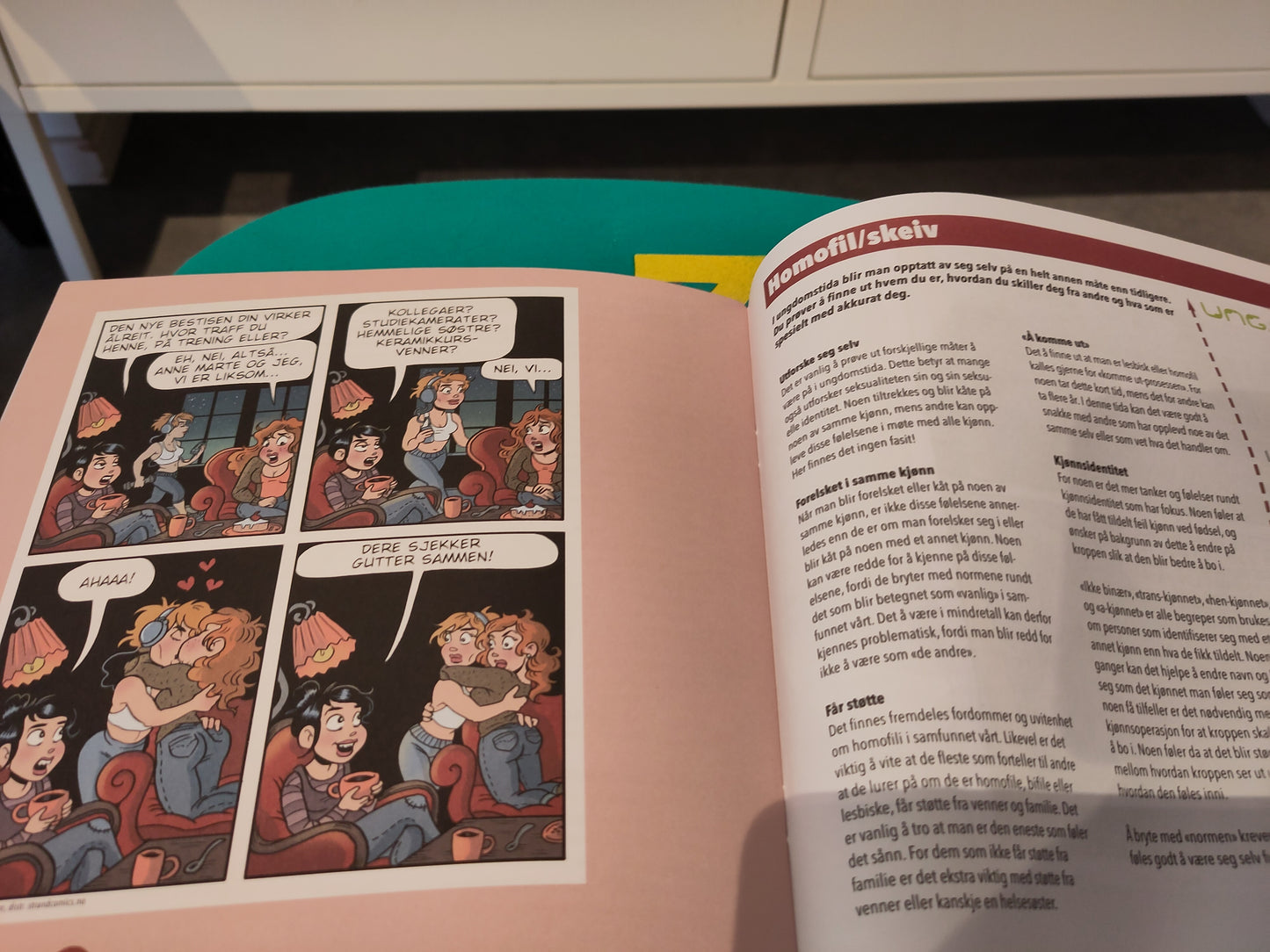 Zelda: Hefte ung.no (Neidestam)