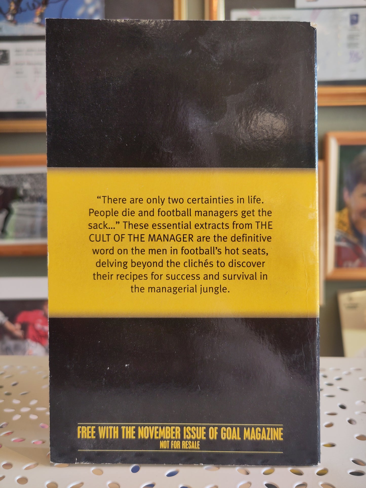 BOK: The Cult of the Manager - Do They Really Make a Difference? (King/Kelly)
