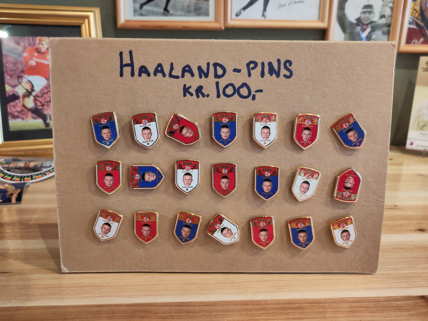 PINS: Norge/Haaland*