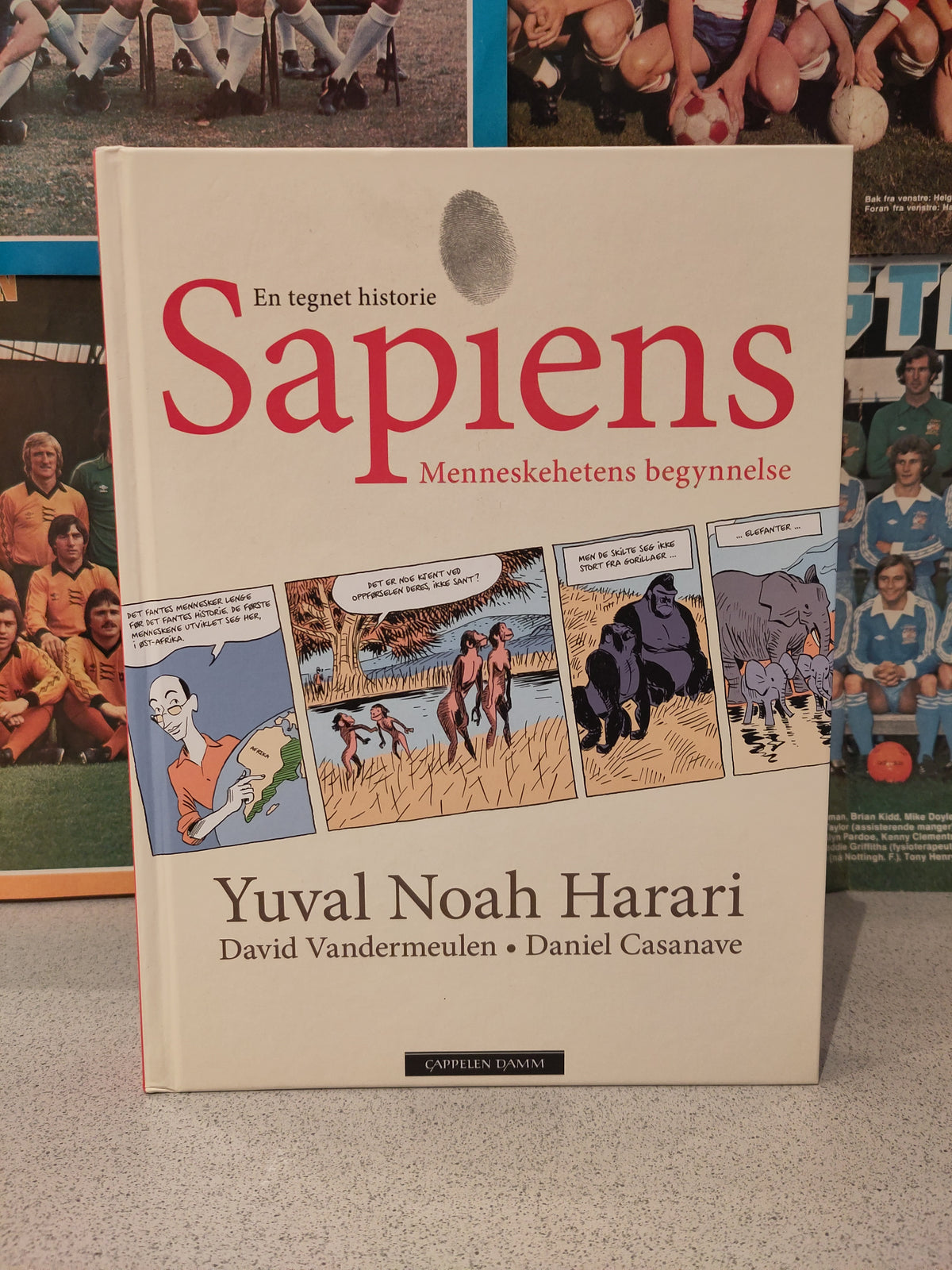 Sapiens - en tegnet historie: Menneskehetens begynnelse (Harari/Vandermulen/Casanave)